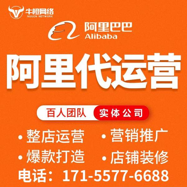 金坛电商代运营