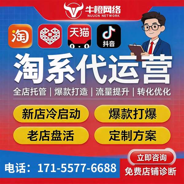 金坛电商代运营