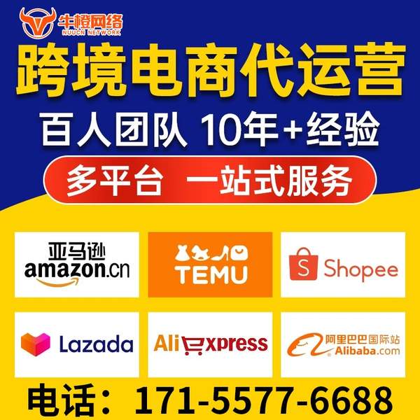金坛电商代运营