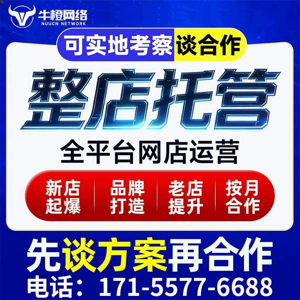 金坛电商代运营