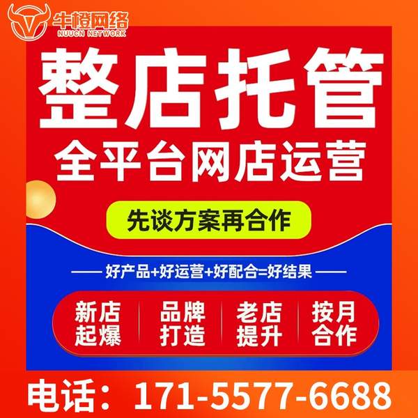 金坛电商代运营