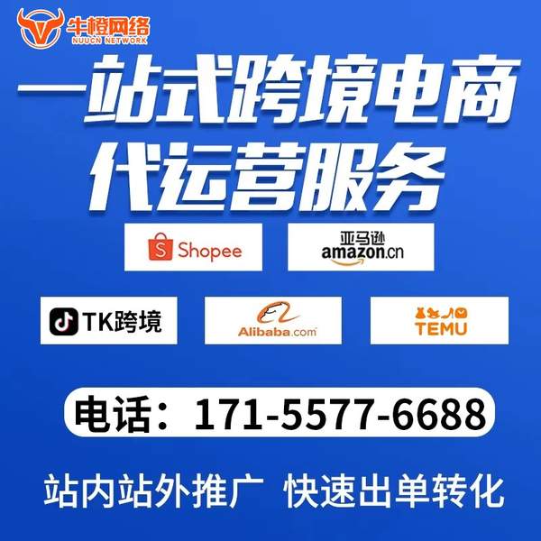金坛电商代运营