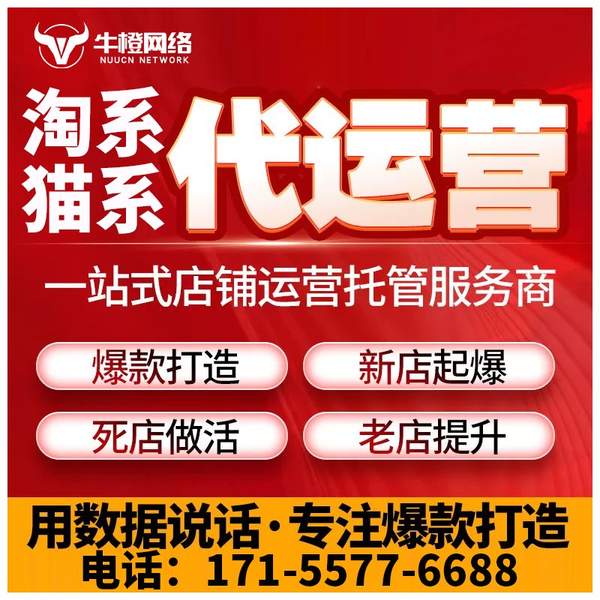 金坛电商代运营